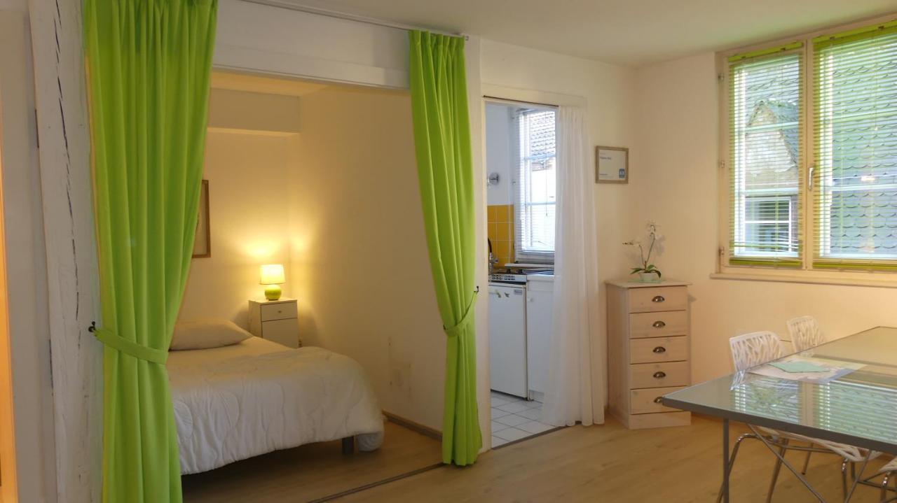 Tripiers Anis Appartement Colmar Buitenkant foto